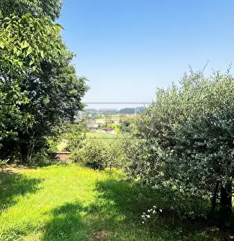 Foto annuncio 10