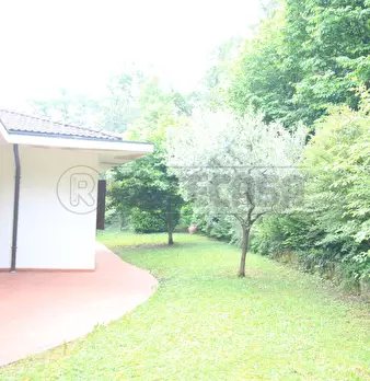 Foto annuncio 57