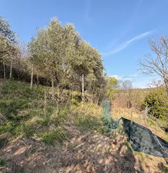Foto annuncio 50