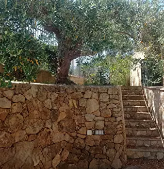 Foto annuncio 17