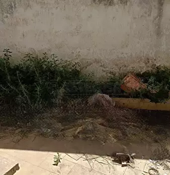 Foto annuncio 15