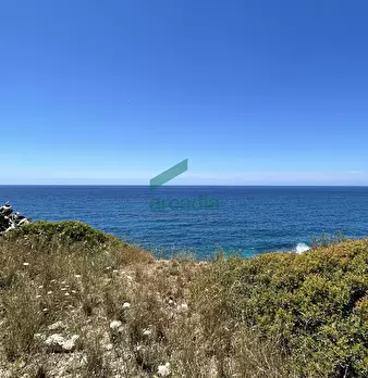 Foto annuncio 47
