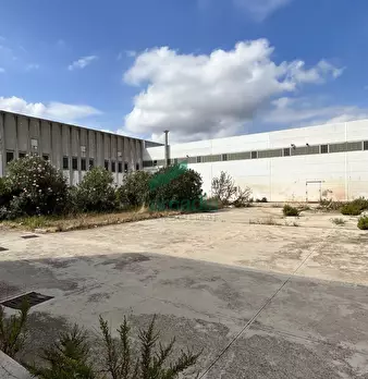 Foto annuncio 19