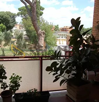 Foto annuncio 21
