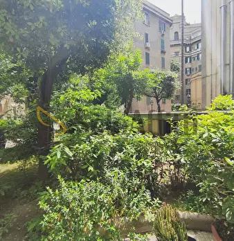 Foto annuncio 34