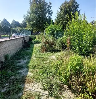 Foto annuncio 12