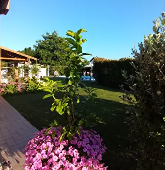Foto annuncio 34