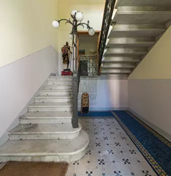 Foto annuncio 30