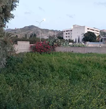 Foto annuncio 18