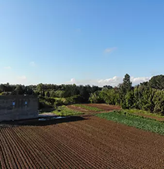 Foto annuncio 4
