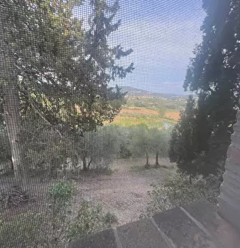 Foto annuncio 12