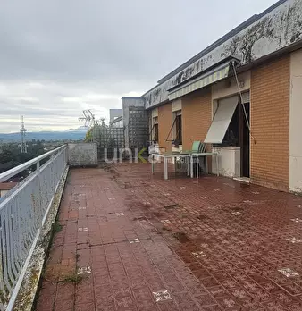 Foto annuncio 6
