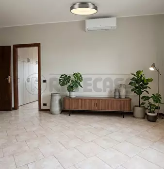 Foto annuncio 20
