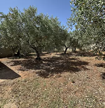 Foto annuncio 29