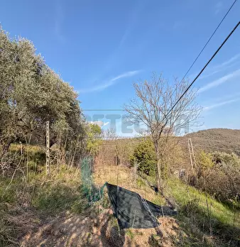 Foto annuncio 52