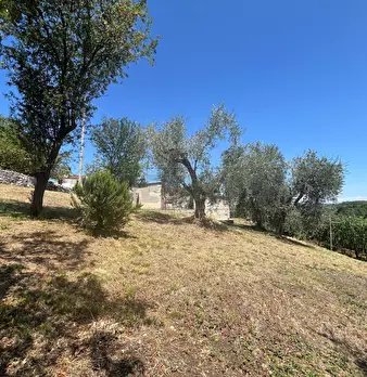 Foto annuncio 18