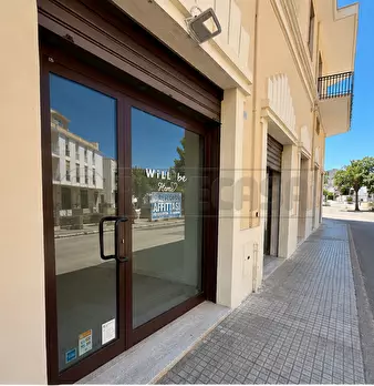 Foto annuncio 12