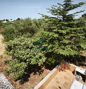 Foto annuncio 35
