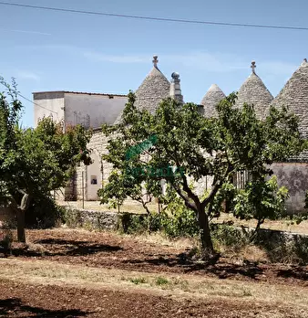 Foto annuncio 3