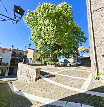 Foto annuncio 24