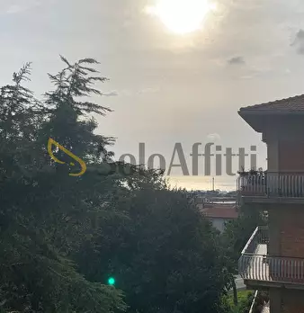 Foto annuncio 28