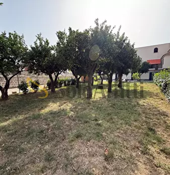 Foto annuncio 59