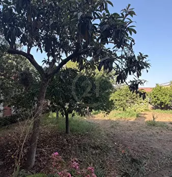 Foto annuncio 12