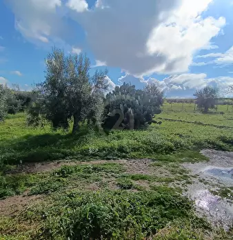 Foto annuncio 21