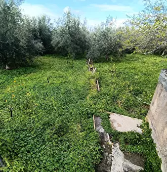 Foto annuncio 23