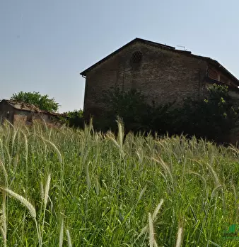 Foto annuncio 13