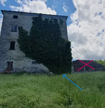 Foto annuncio 39