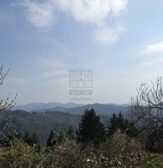 Foto annuncio 6