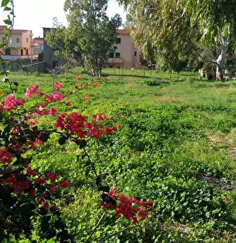 Foto annuncio 12