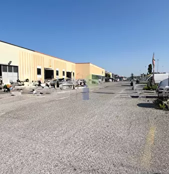 Foto annuncio 8