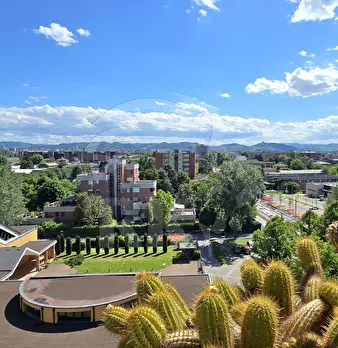 Foto annuncio 11