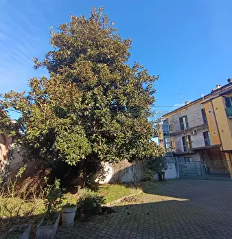 Foto annuncio 35