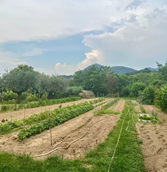 Foto annuncio 26