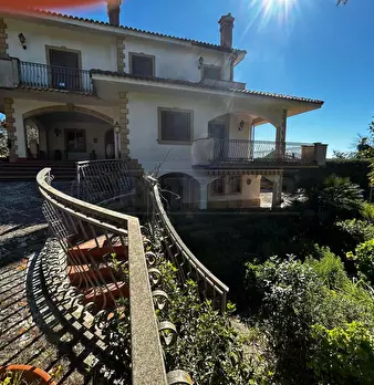 Foto annuncio 4