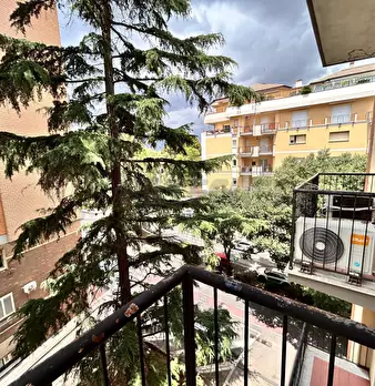 Foto annuncio 13