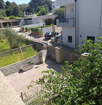 Foto annuncio 23