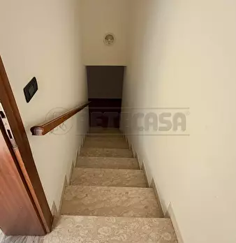 Foto annuncio 55