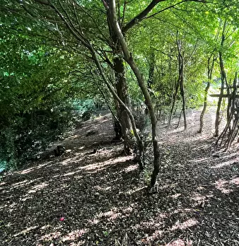 Foto annuncio 18