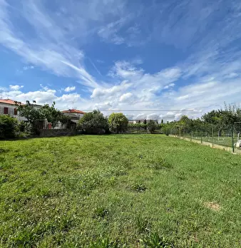 Foto annuncio 37