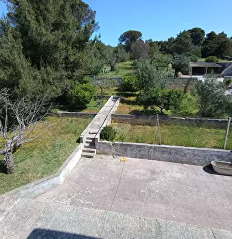 Foto annuncio 22