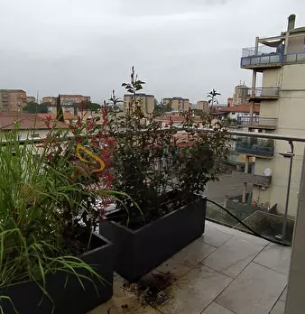 Foto annuncio 37