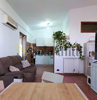 Foto annuncio 8