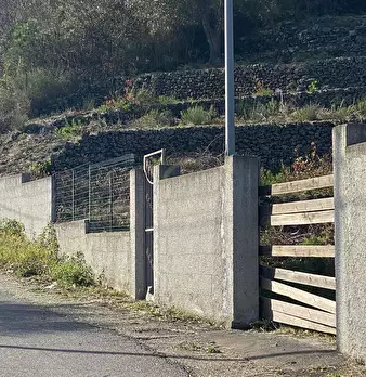 Foto annuncio 8