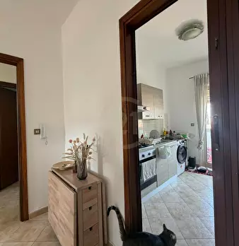 Foto annuncio 13