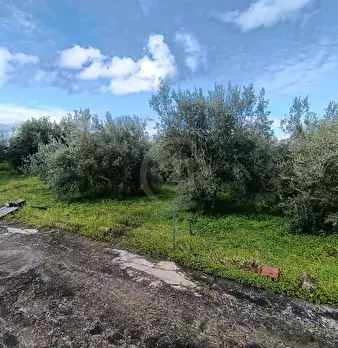 Foto annuncio 24