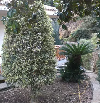 Foto annuncio 6